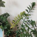 정주한의원 이미지