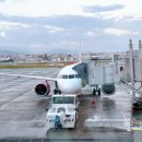 피치203-3 이미지