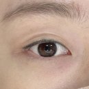 원주 무실동속눈썹펌 : 다올뷰티 #무쌍후기