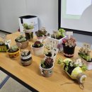 기후위기에 관심을 갖자 이미지