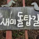 더미양 이미지