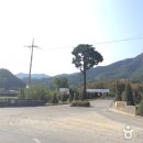 에딘버러 컨트리클럽 이미지