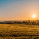 투데이목장 이미지