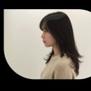 리프리오