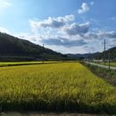 CU(창원팔용네오점) 네이버블로그