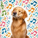 리더스서울 행정사&공인중개사사무소 이미지