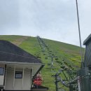 시즈오카 근교 이즈반도 이토 여행 : 오무로 산 Mt. Omuro Summit
