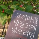 (주)늘품플러스 - 4917 | (주)늘품플러스