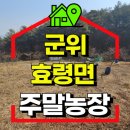 이용훈농장 네이버블로그
