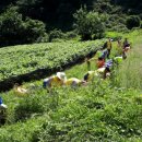 고운리농장 이미지