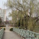 안흥유원지 이미지