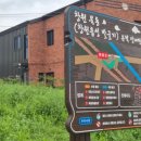 소동느티나무 이미지