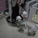 몽펫푸드 이미지