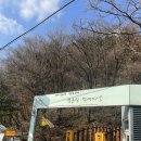 무등리 주민쉼터 | [정선 가볼만한 곳] 민둥산 억새축제 | 11월&amp;등산코스&amp;주차