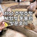 영아일랜드 성인PC방 | 하남 주렁주렁 직접 만져볼 수 있는 동물원 아기랑 방문한 후기