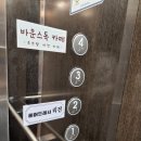 바운스독카페 이미지