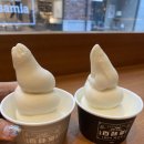 백미당아브뉴프랑