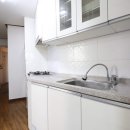 백양대로 이미지