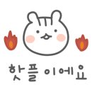 원조 도문집 칼국수 이미지