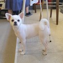 몽개몽개 이미지