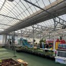 151-1-000011 이미지