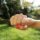 국제인권행정사 이미지