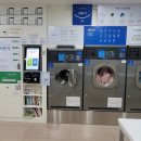 크린토피아코인워시 이미지