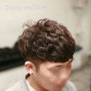 스왈로