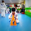 태풍 태권도장 이미지