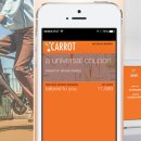 캐롯(CARROT) 이미지