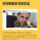 냥냥이세상 네이버블로그