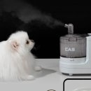 메디세이프 이미지