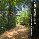 새적근린공원(9동) | 새적굴근린공원 맨발걷기길 평일 점심시간 걸어본 후기