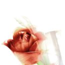 달빛창가에서 이미지