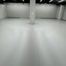 위아더유도관 이미지