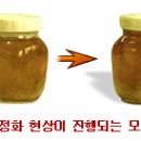 벌꿀의 효능 이미지