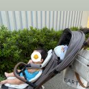 하이브리드캐빈 유모차 후기 이미지