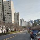 래미안시티(단지내)공인중개사사무소 이미지