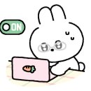 로컬스티치 청자장 이미지