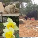 두원농장 이미지