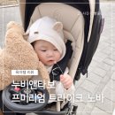 노바 | 백번 고민하고 산 누비앤타보 프리미엄 트라이크 노바 장단점 솔직후기