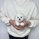 리온 - 강서구 명지국제8로 270 | 리온