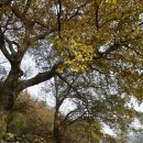 도룡마을 이미지