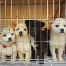 오케이 피트니스 당감점 이미지