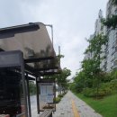 올포유충주