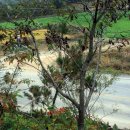 함평고등학교 이미지