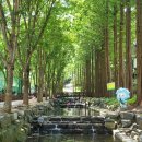 칠갑산자연휴양림 이미지