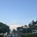 카페16온스울과대점
