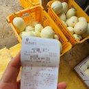 미현농장 이미지