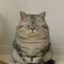 오롬